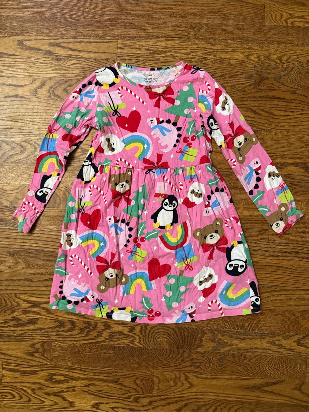 H&M Pink Long-Sleeve Holiday Animal & Rainbow Print Dress size 8/10
